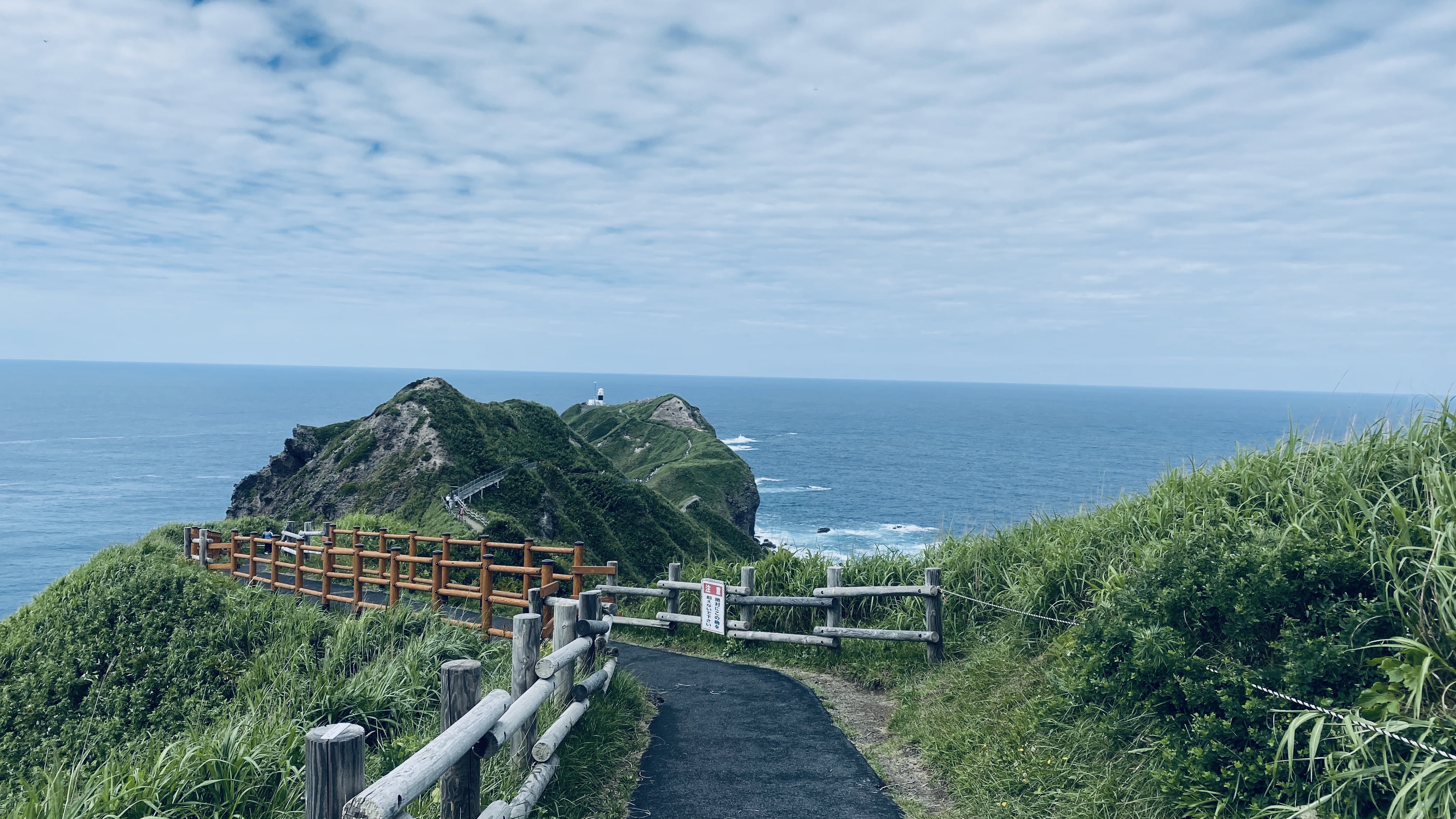 for travel and tour services by VectorStock / olegtoka